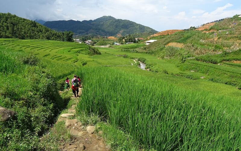 Mẹ và con gái đi giữa ruộng bậc thang Sa Pa